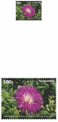 Ներմուծեք նկարագրությունը_24112